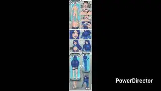 FemBot TG TF Sequence