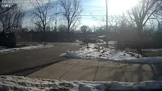 Woman w  Dog Crosses at Unmarked Crossing where Cars Speed 50-70mph & Crash onto The Corners