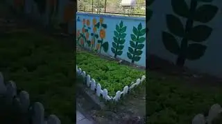 Shkolla ime, miq&euml;sore me mjedisin dhe klim&euml;n #ecoschool #greengarden #climatechangesolutions