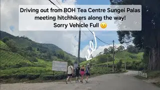 Leaving see hitchhikers walking out BOH Sungei Palas Tea Estate Brinchang Cameron Highlands Pahang
