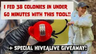 THIS TOOL IS A LIFE SAVER!!! Sugar Water, HiveAlive, & Pollen Patties / Beekeeping #beekeeping