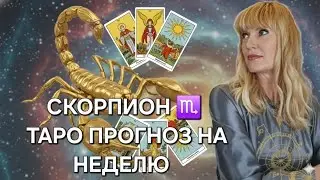 СКОРПИОН ♏️🧚&zwj;♀️❤️ ТАРО ПРОГНОЗ НА НЕДЕЛЮ С 09.02.2026 ПО 15.02.2026❤️ИНФОРМАЦИЯ, СОВЕТЫ, ПОДСКАЗКИ