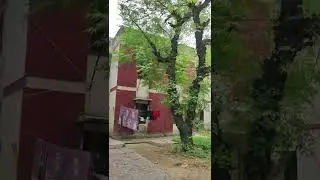 Government Quarters Pushp Vihar Sector-3 #delhi #rain 🌧