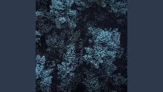 Ripple II