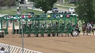 Race 4 - Quarter Horse Allowance - 300 Yards