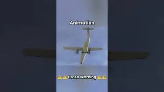 Voepass 2283 Animation vs Real #aviation #crash  #plane