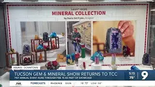 A city treasure: Tucson Gem and Mineral Show kicks off four-day event at TCC