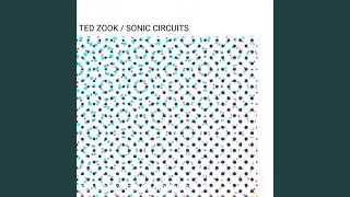Sonic Circuits