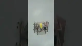 Homemade Frog Robot for kids