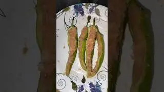 chop recipe #shorts #chilichop #homecooked #youtubeshorts #viralrecipe