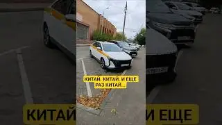 Зачем мне Шкода , когда есть Омода... Livan S6 Pro