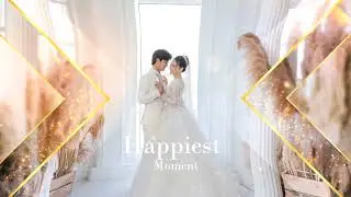 Free Download Elegant Particle Wedding Slideshow - Videohive || After Effects