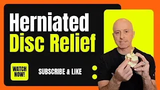 Bulging Disc Neck Pain Relief | Chiropractor in Centennial, CO