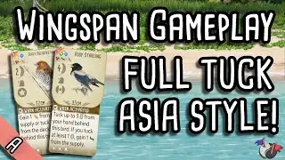 Full Tuck is the way! | Wingspan Gameplay