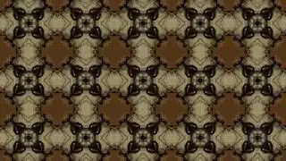 Casper Bj&ouml;rk - The Strange Journey