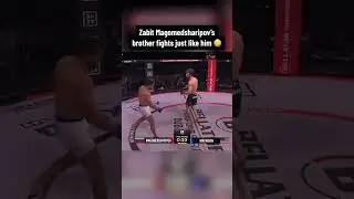 Брат Забита дерётся точно так же, как он 😲 (Bellator MMA)