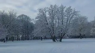 Ringsted Denmark 🇩🇰 Jan 06,2026.Tuesday.
