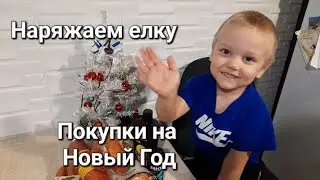 НАРЯЖАЕМ ЕЛКУ|ПОКУПКИ НА НОВЫЙ ГОД|ДОМ В ДЕРЕВНЕ|СЕМЬЯ