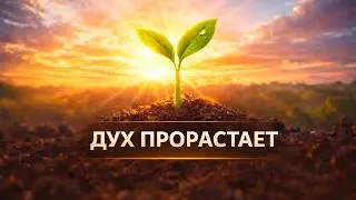 Дух прорастает — христианская песня | Сергей Сапоненко