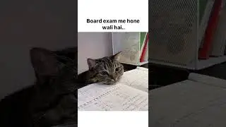 funny cat cartoon #ytshorts #cat #comedyforever #funny #trending #trendingshorts #youtubeshorts #cat