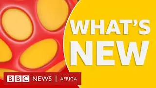 BBC Africa: Namibia's first lady and projects for teenagers plus other stories - BBC What's New