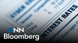 Reasons why rate pause periods have paid off, even more than easing periods
