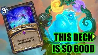 The best burn deck in the game | Overload Shaman