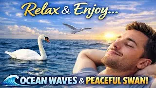 Relaxing Ocean Waves & Seagulls + Cute Duck Swimming (No Music) | Sleep, Study, Relax (1H 15M)