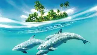 Aquateca - Dolphins