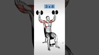 KURZHANTEL SCHULTER WORKOUT #schultertraining #krafttraining #muskelaufbau