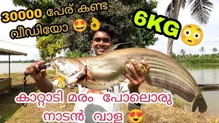 6 കിലോ ആറ്റു വാള😍യുടെ ശക്തി  കണ്ടോ 😳😳