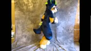 Syber by PhoenixWolfSuits