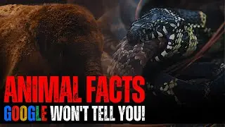15 Untold ANIMAL FACTS You Can't Find Online | Wild Wonders