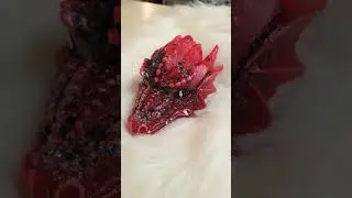 Our Enchanted Dragons of Orgone