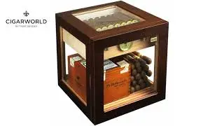Cigarworld Neuheiten Kalenderwoche 31