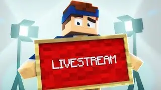 Minecraft eigen Server