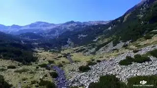 Park National Pirin - Bulgaria 🇧🇬