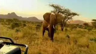 Julie Bafort in Radio1 commercial