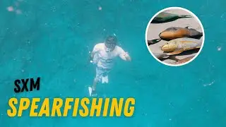 Vlog 4 | SXM island life: Spearfishing, Surfing and delicious food