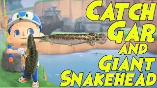 How to Catch Gar & Giant Snakehead in AC:NH (New June Fish Guide)