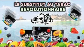 LE SUBSTITUT AU TABAC R&Eacute;VOLUTIONNAIRE
