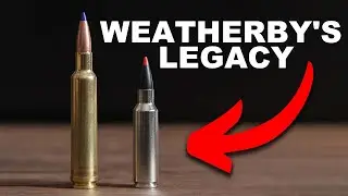 What's Wrong with WSM Cartridges - Season 2: Episode 15