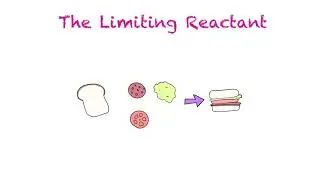 The Limiting Reactant