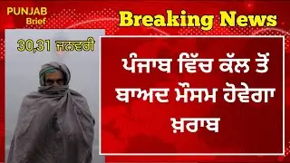 30,31 ਜਨਵਰੀ ਪੰਜਾਬ ਦਾ ਮੌਸਮ | ਅਗਲੇ 48 ਘੰਟੇ ਵਿੱਚ ਮੀਂਹ Mausam Di Jankari |#punjabweather #weather #mosam