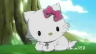 Charmmy Kitty (Tribute)