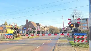 Spoorwegovergang Den Dolder // Dutch Railroad Crossing 