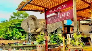 Safari Land Souvenir Shop Outside Ngorongoro & Serengeti Parks, Tanzania