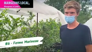 Mangeons local #6 - Ferme Marineau