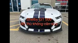 xin mời các bạn cùng đi xem Dealership của Ford