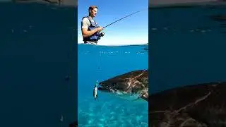 #FishingFails #BigFish #FishingLife #ViralFishing #FishingCommunity #FishingUSA #Hooked